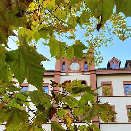 Odelya - Stadthotel Im Park Basel Bagian luar foto