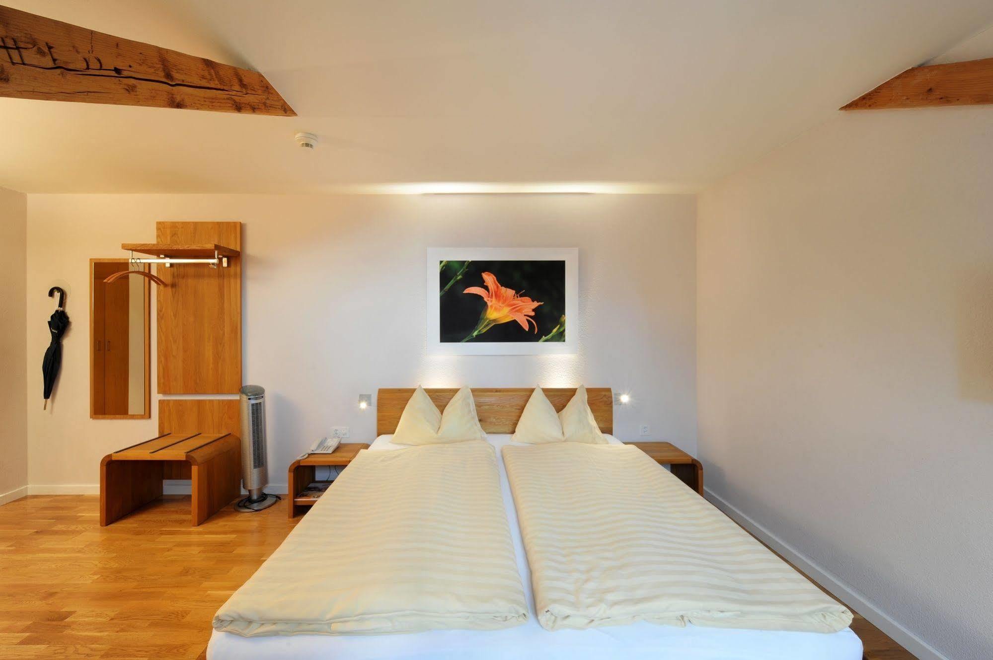 Odelya - Stadthotel Im Park Basel Bagian luar foto